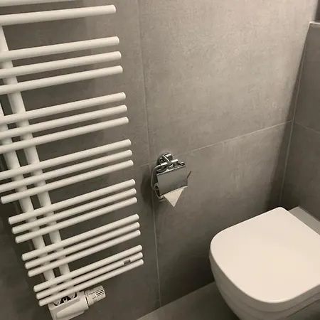 Sehr Zentral Beim Jakobshorn, Bolgen, Skischule, Skivermietung, Bahnhof, Supermarkt, Restaurants, Wifi, Netflix Und Voll Ausgestattet - Bolgen Apartment *